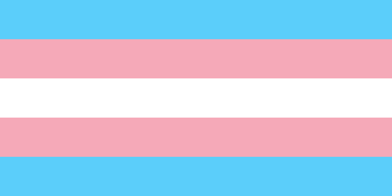 Кто такие трансгендерные люди? Transgender Day of Visibility